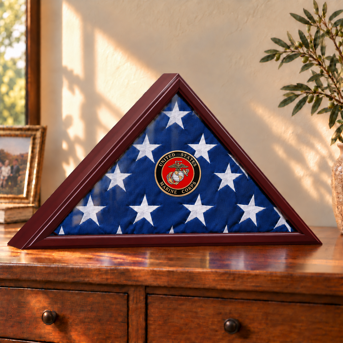 Marine Corps flag display case — case only example