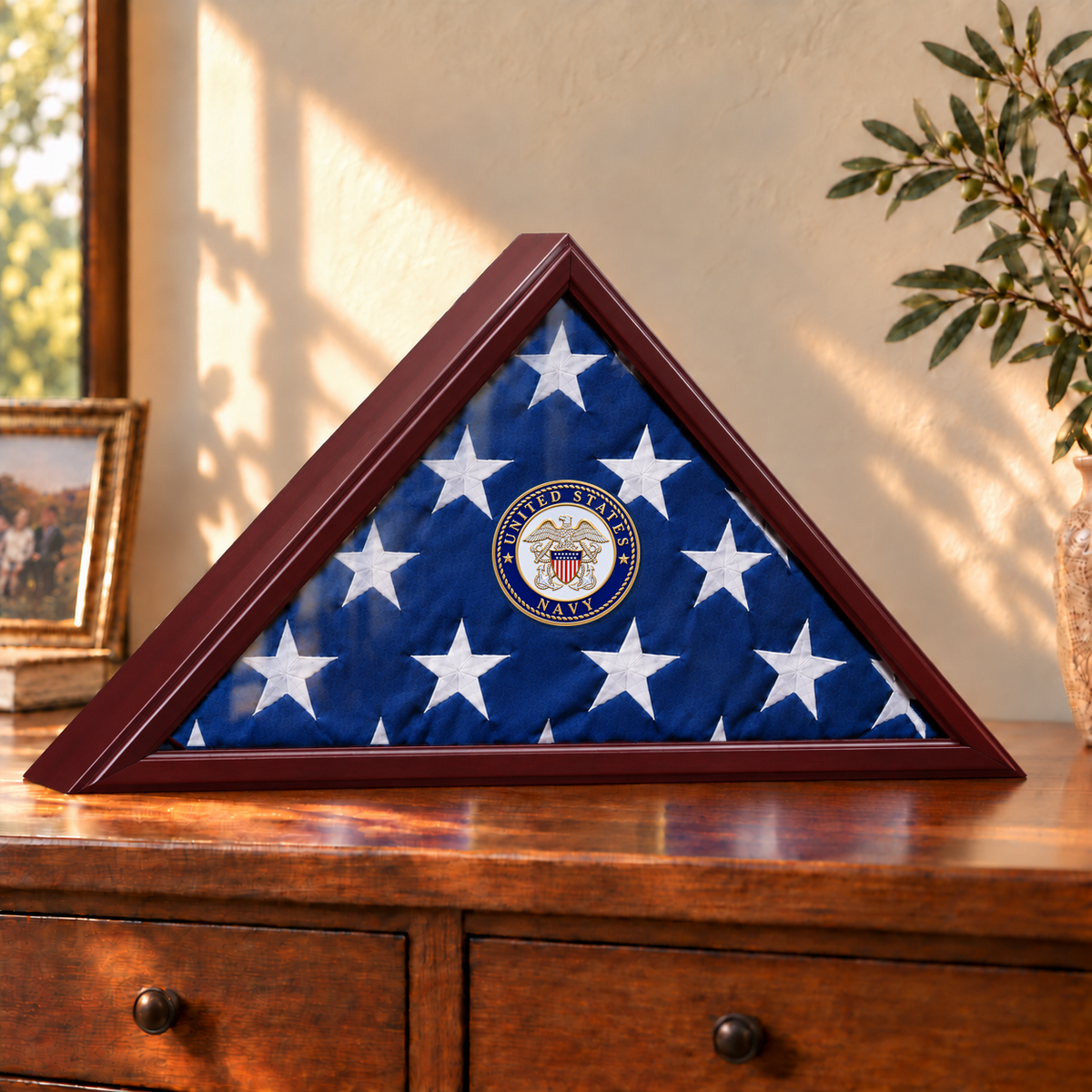 Navy flag display case — case only example